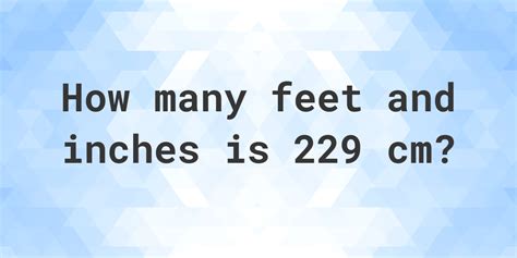 229 cm to feet